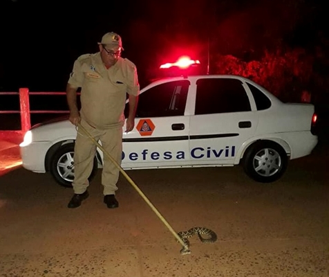 CASCAVEL CAPTURADA DENTRO DE CASA EM VALENTIM GENTIL