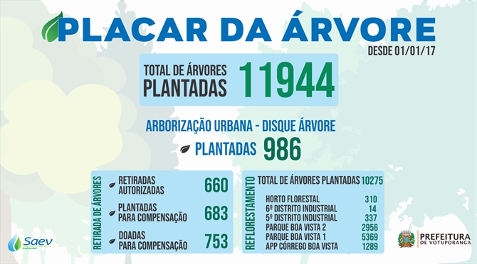 SAEV JÁ FEZ MAIS DE MIL PLANTIOS DE MUDAS 